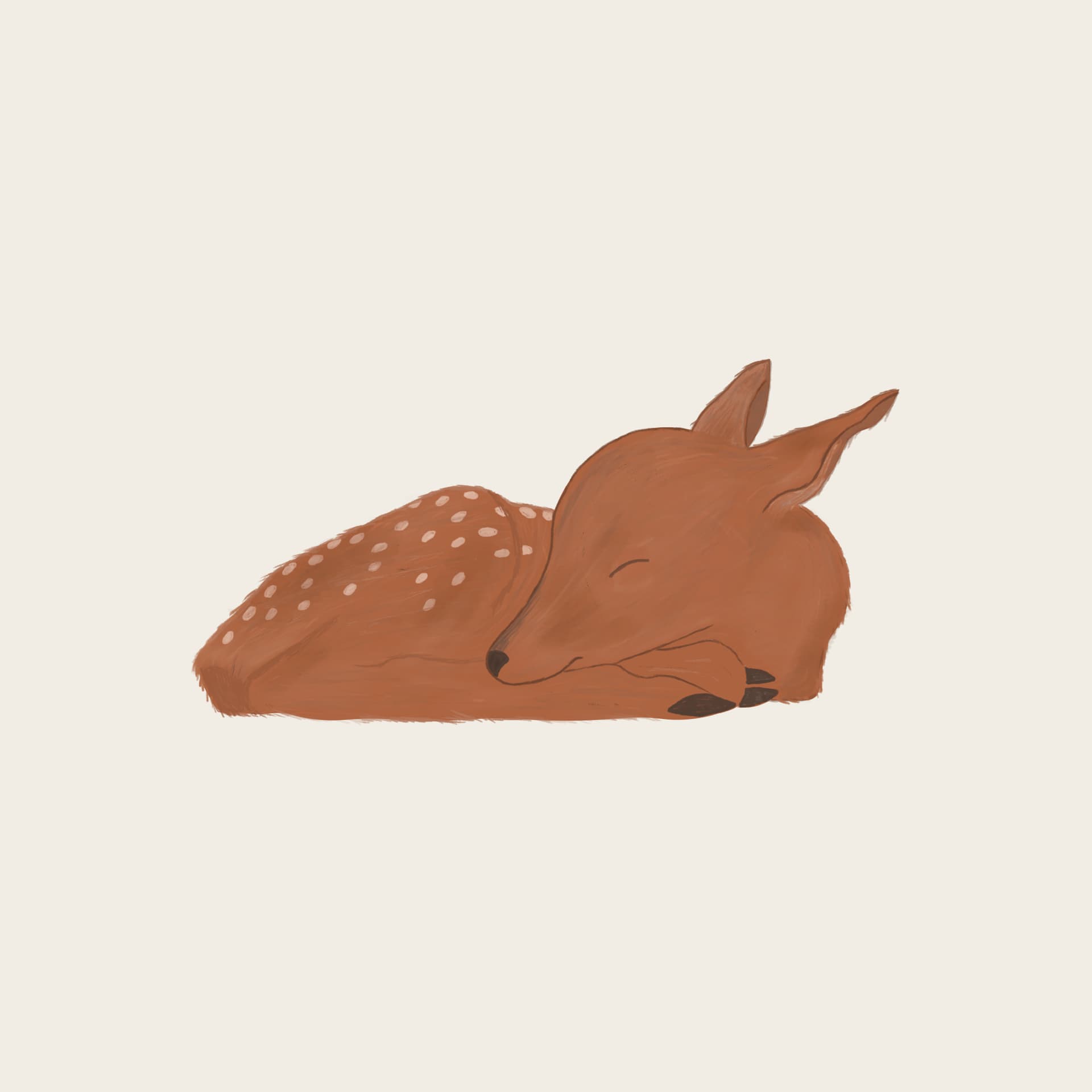 Sleepy fawn