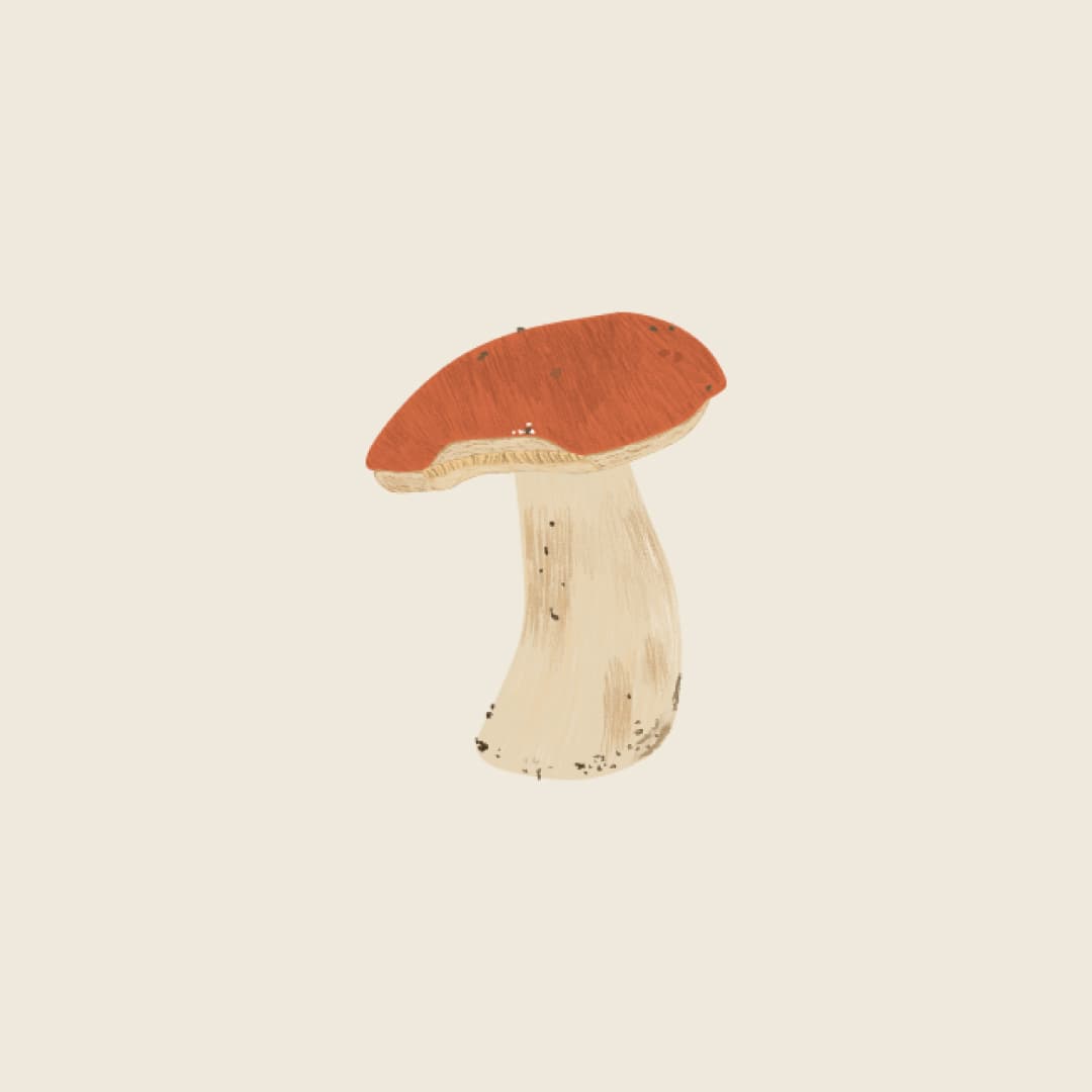 Mushroom