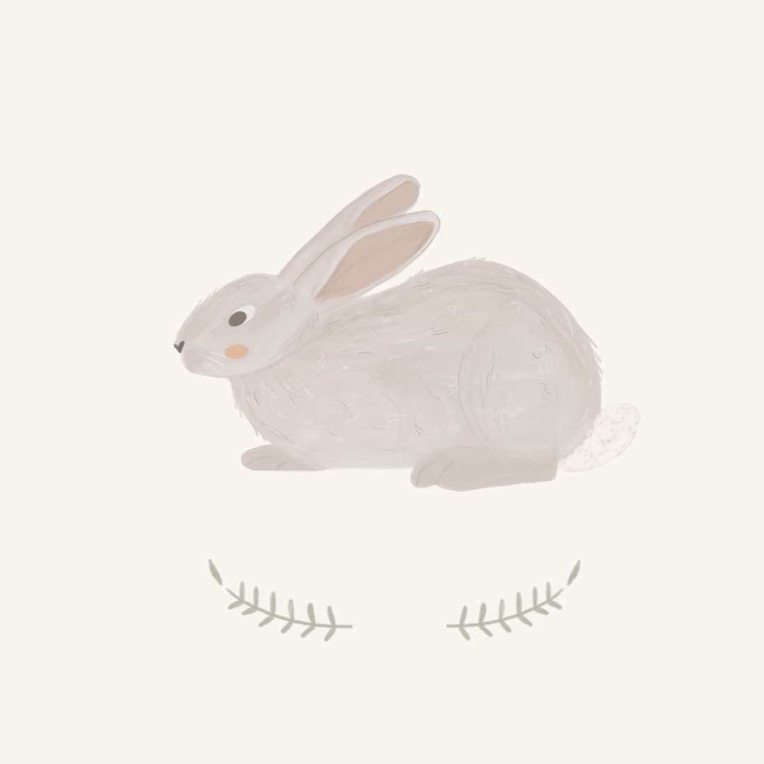 Grey Rabbit